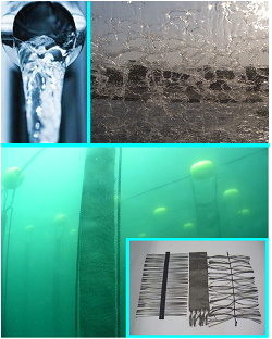 炭素繊維水質浄化材-生態多様性、生態系保全